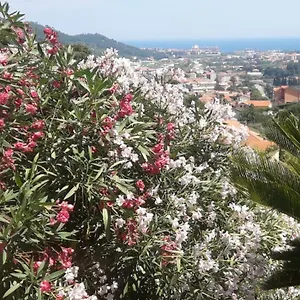 https://ospitalita-in-campagna.hotelitalianriviera.com